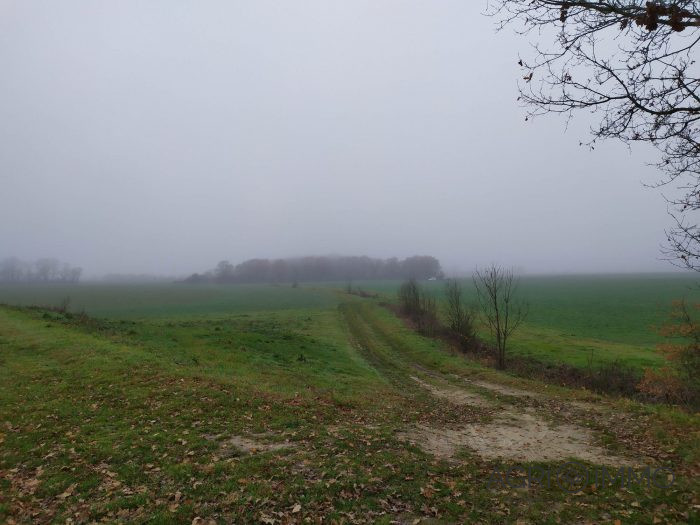 Agricultural land for sale, 115 ha - Loire-Atlantique