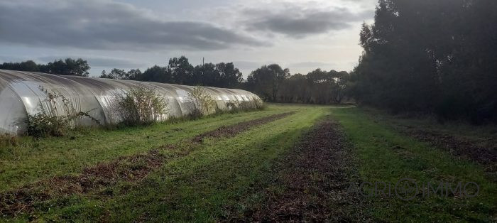 Landbouwgrond te koop, 16 ha 72 a - Morbihan