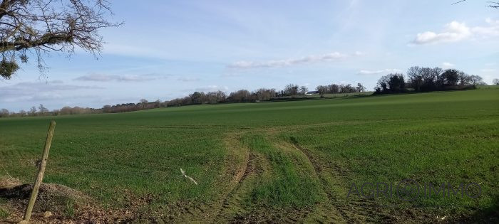 Agricultural land for sale, 140 ha - Loire-Atlantique