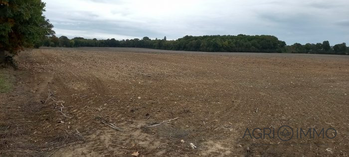 Agricultural land for sale, 160 ha - Loire-Atlantique