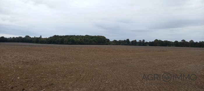 Agricultural land for sale, 160 ha - Loire-Atlantique