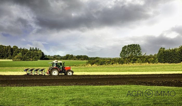 Terrain agricole à vendre, 25 ha 80 a - Mayenne