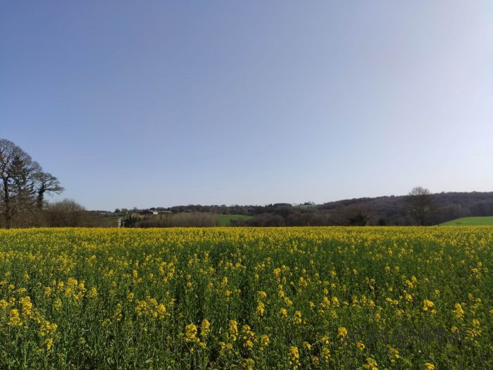 Agricultural land for sale, 115 ha - Côtes-d'Armor
