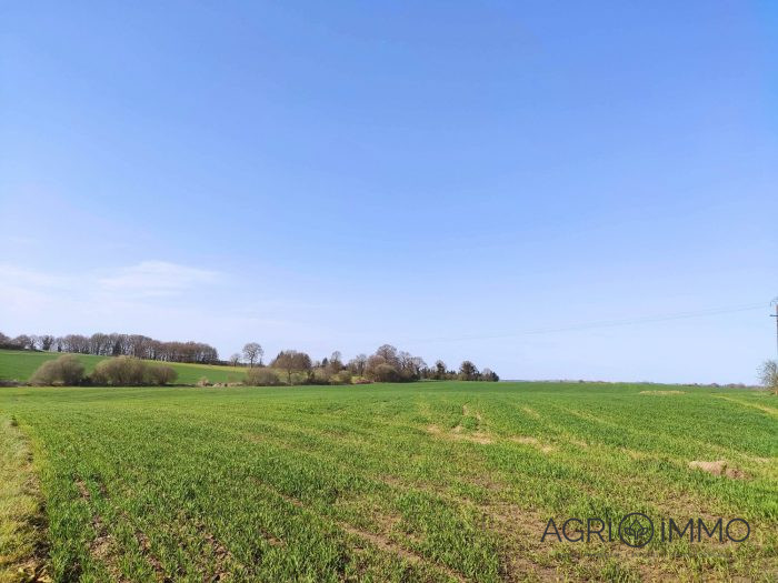 Terrain agricole à vendre, 115 ha - Côtes-d'Armor