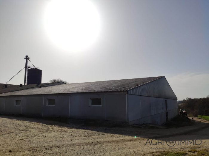 Terrain agricole à vendre, 115 ha - Côtes-d'Armor