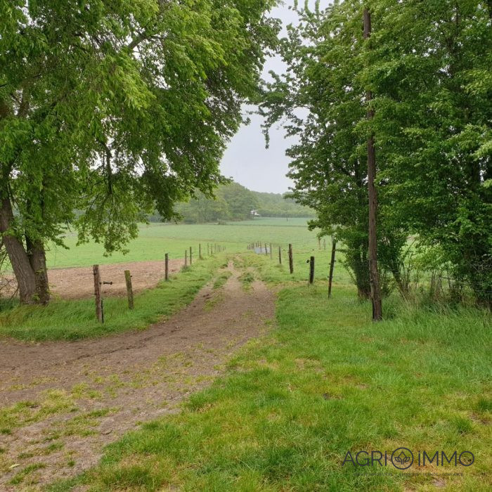 Agricultural land for sale, 93 ha - Sarthe