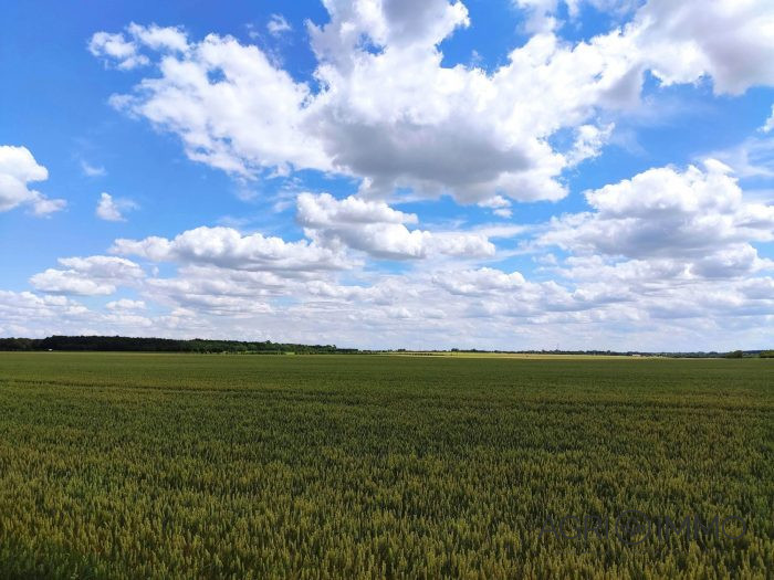 Agricultural land for sale, 390 ha - Maine-et-Loire
