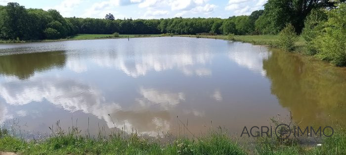 Agricultural land for sale, 30 ha - Loire-Atlantique