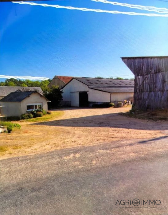 Agricultural land for sale, 100 ha - Sarthe