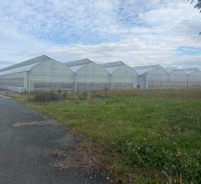 Terrain agricole à vendre, 03 ha 70 a - Maine-et-Loire