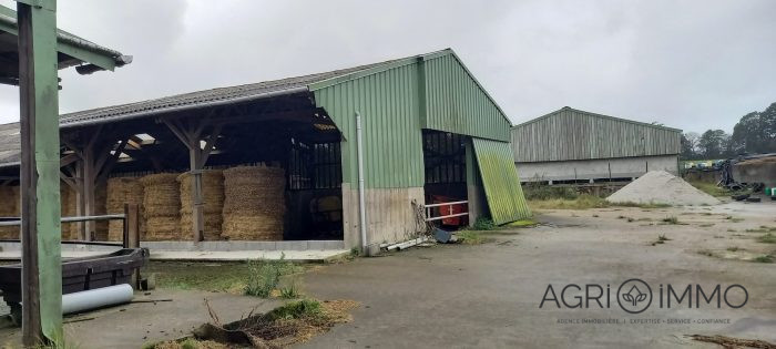 Terrain agricole à vendre, 134 ha - Côtes-d'Armor