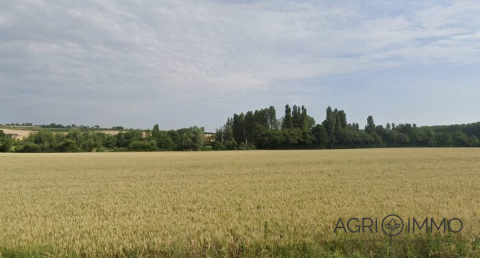 Terrain agricole à vendre, 199 ha - Indre-et-Loire