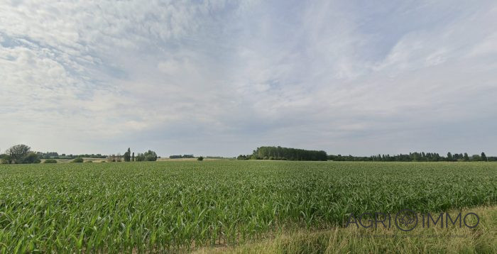 Terrain agricole à vendre, 199 ha - Indre-et-Loire