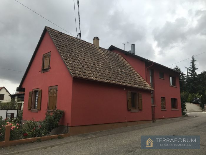 Maison individuelle à vendre, 8 pièces - Mutzenhouse 67270