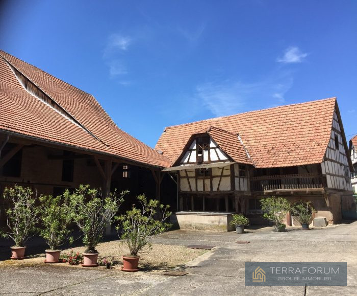 Ferme à vendre, 6 pièces - REITWILLER 67370