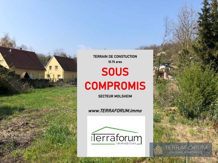 Terrain constructible à vendre, 10 a 75 ca - Dinsheim-sur-Bruche 67190