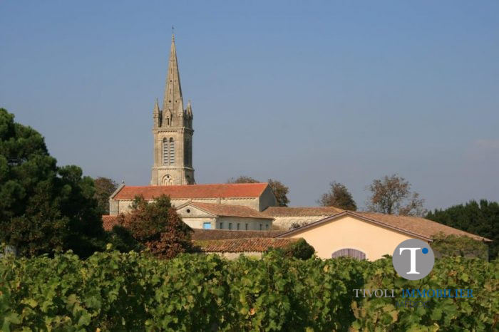 Château à vendre, 8 pièces - Saint-Christoly-Médoc 33340