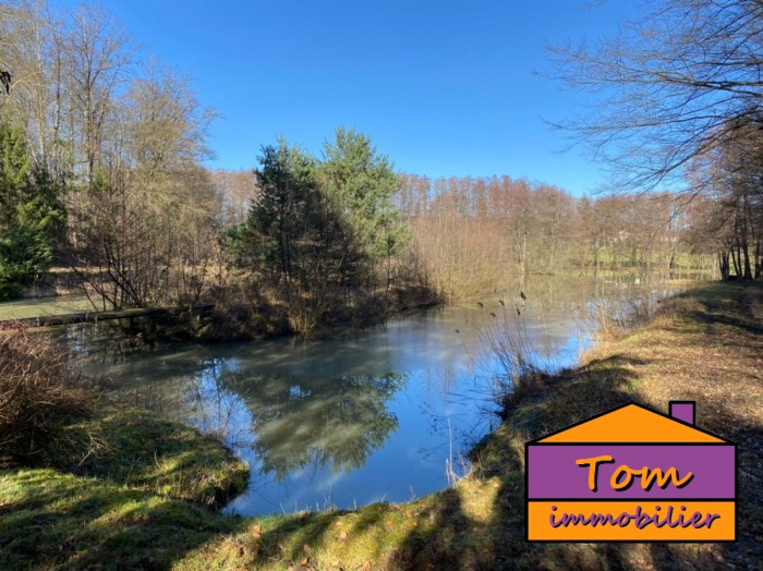 Etang à vendre, 02 ha 77 a 70 ca - Siltzheim 67260