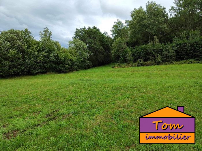 Terrain constructible à vendre, 01 ha 08 a 60 ca - Volmunster 57720