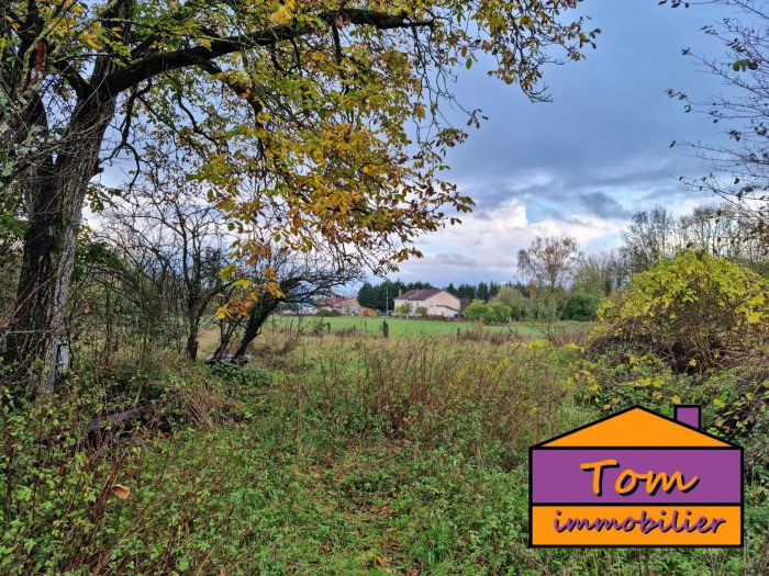 Terrain constructible à vendre, 07 a 49 ca - Lunéville 54300