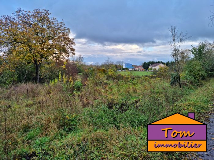 Terrain constructible à vendre, 07 a 49 ca - Lunéville 54300