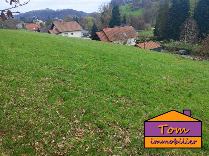 Terrain constructible à vendre, 09 a 80 ca - Walschbronn 57720