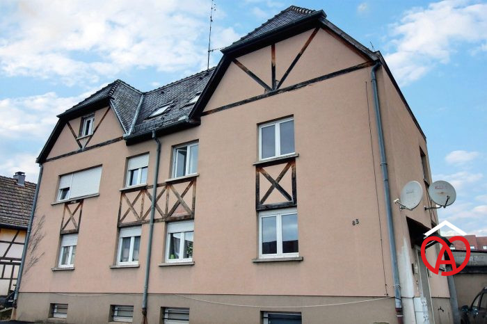Immeuble à vendre, 250 m² - Geispolsheim 67118