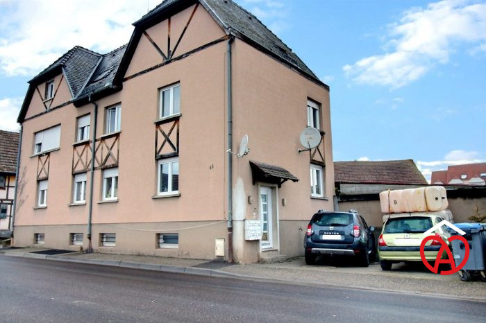 Immeuble à vendre, 250 m² - Geispolsheim 67118