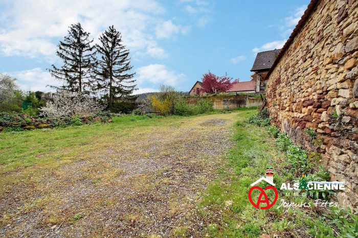 Maison individuelle à vendre, 6 pièces - Mittelbergheim 67140