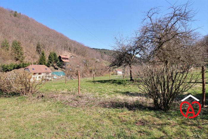 Ferme à vendre, 8 pièces - Villé 67220