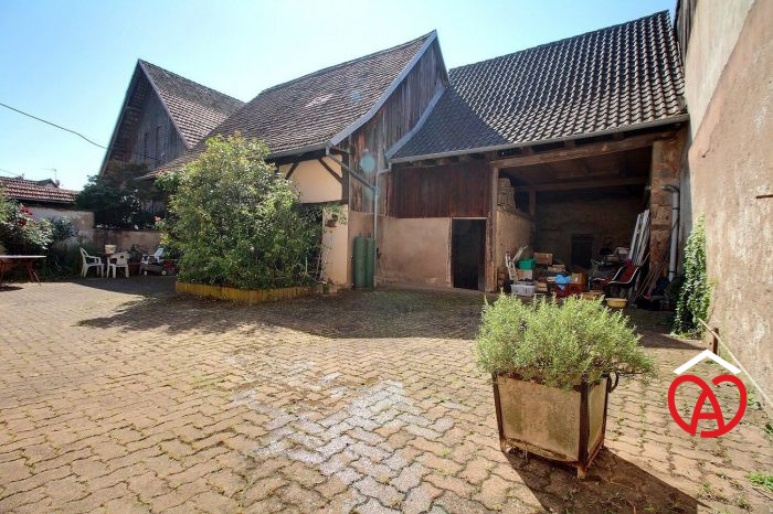 Ferme à vendre, 7 pièces - Stotzheim 67140