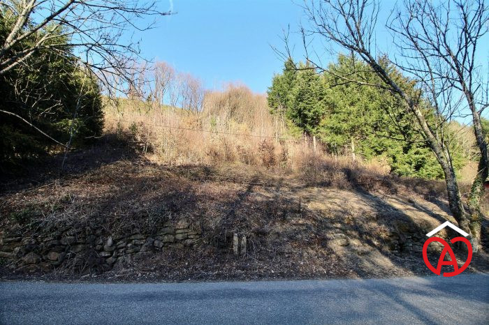 Terrain constructible à vendre, 12 a 15 ca - Lalaye 67220