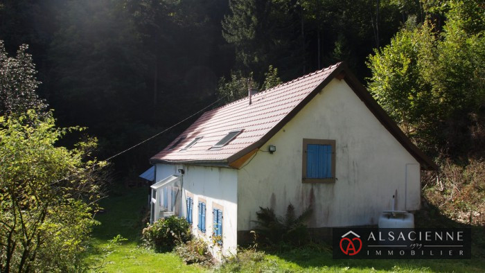 Ferme à vendre, 4 pièces - Lalaye 67220